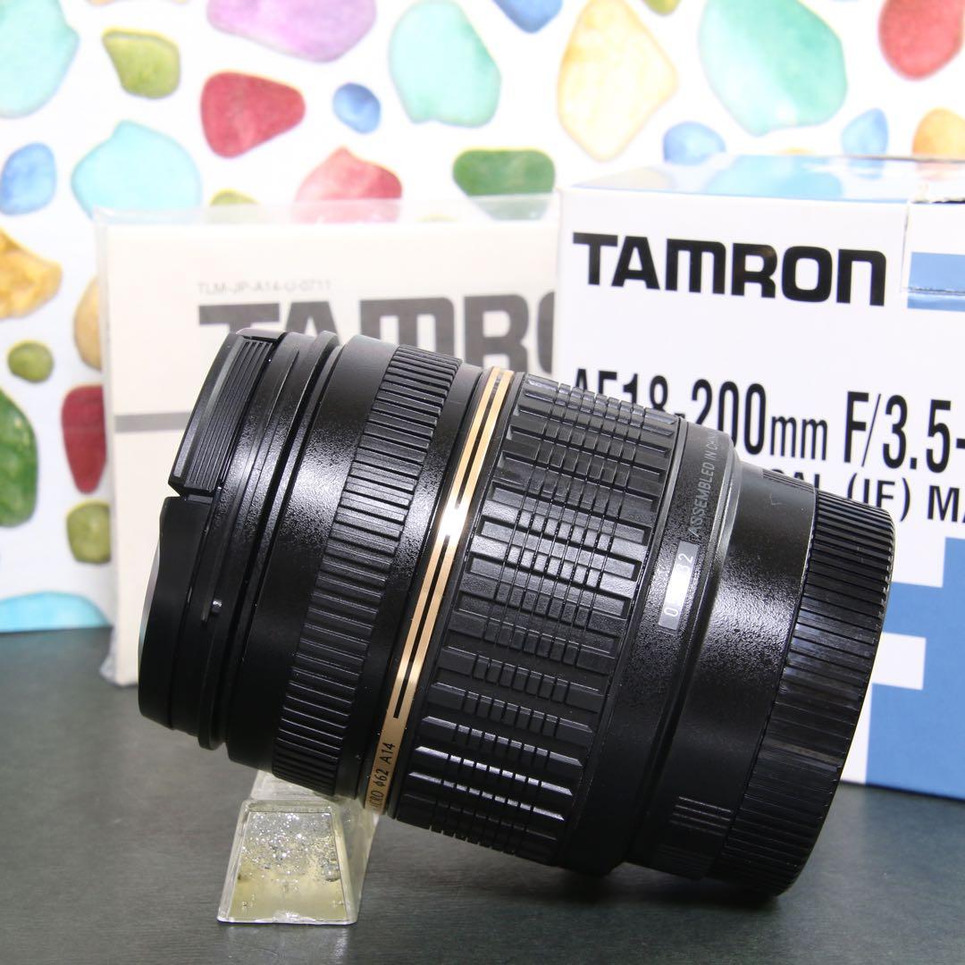 ♥︎◇迷ったらこのレンズ♪ ◇Tamron 18-200m SONY ◇美品