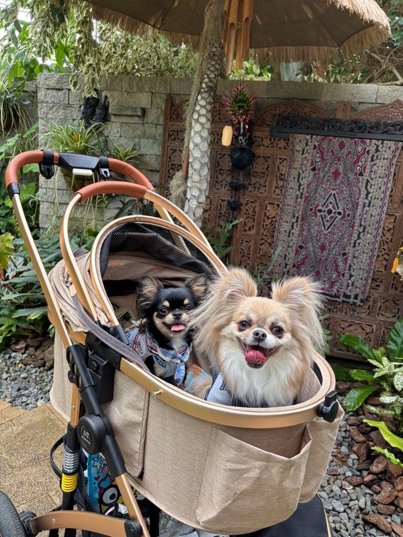 購入不可　確認用です