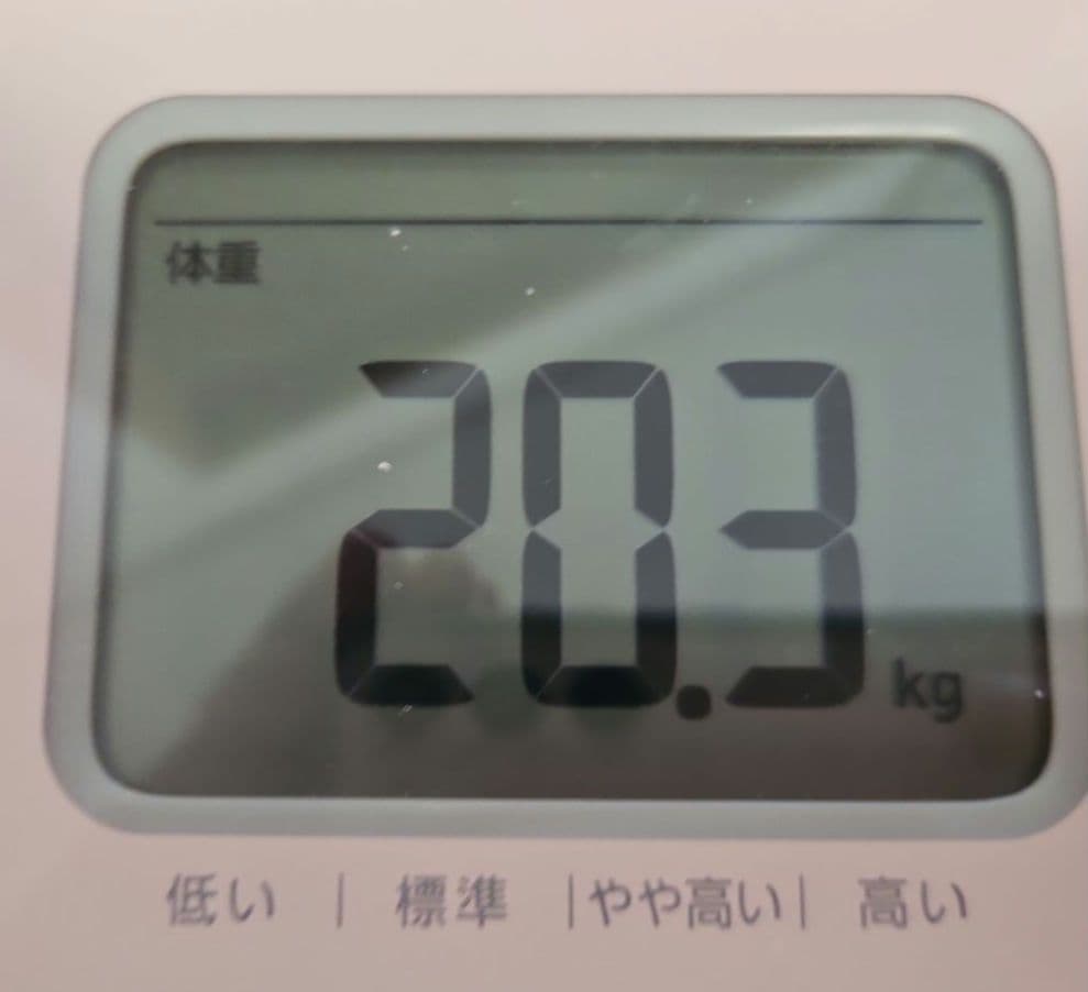 計20.3kg！　引退品まとめ売り　スリーブ&デッキケース付き　マルル　ゼナーク