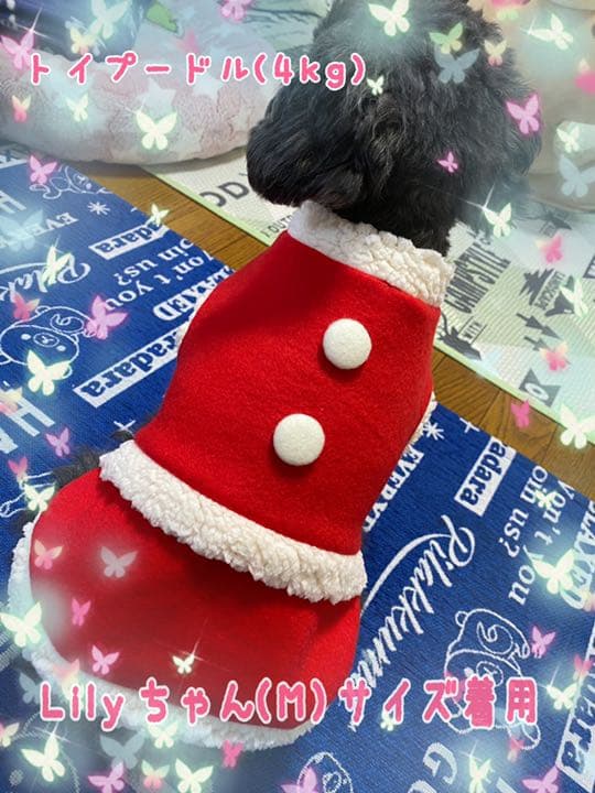 Xmasコスチューム(M)    ꒡̈⃝Lily꒡̈⃝犬服 ハンドメイド