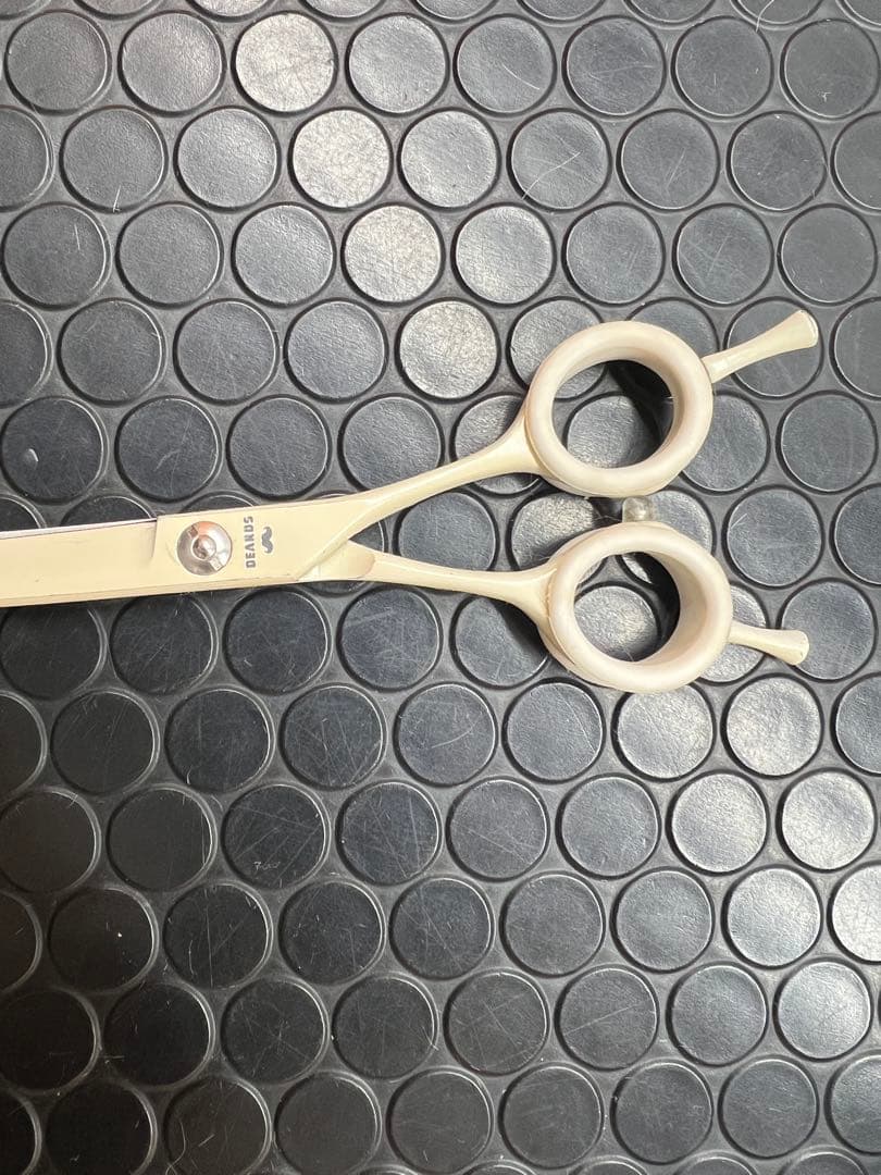 BEARDS ビアーズ　ショコラカーブシザー