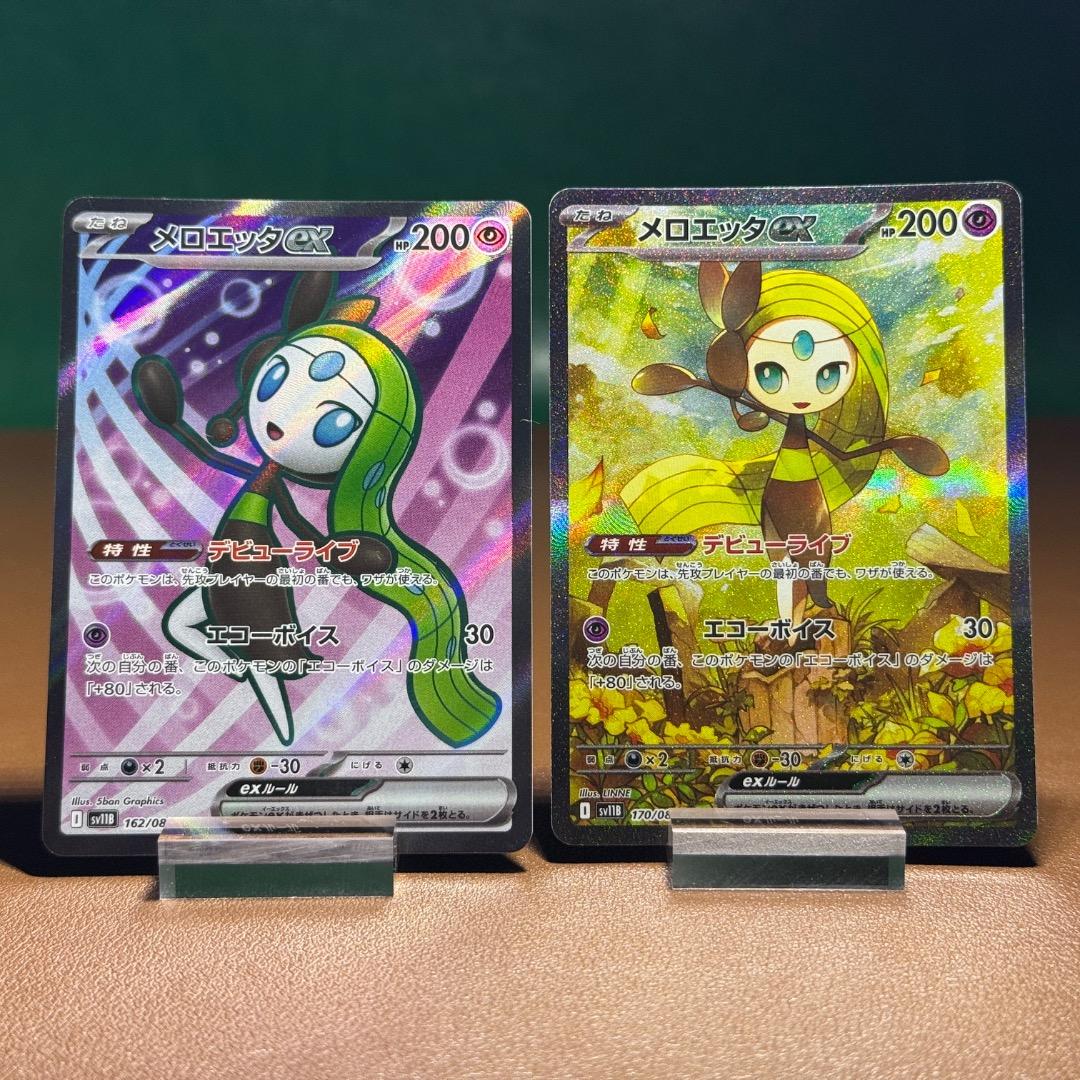 メロエッタ 3枚セット