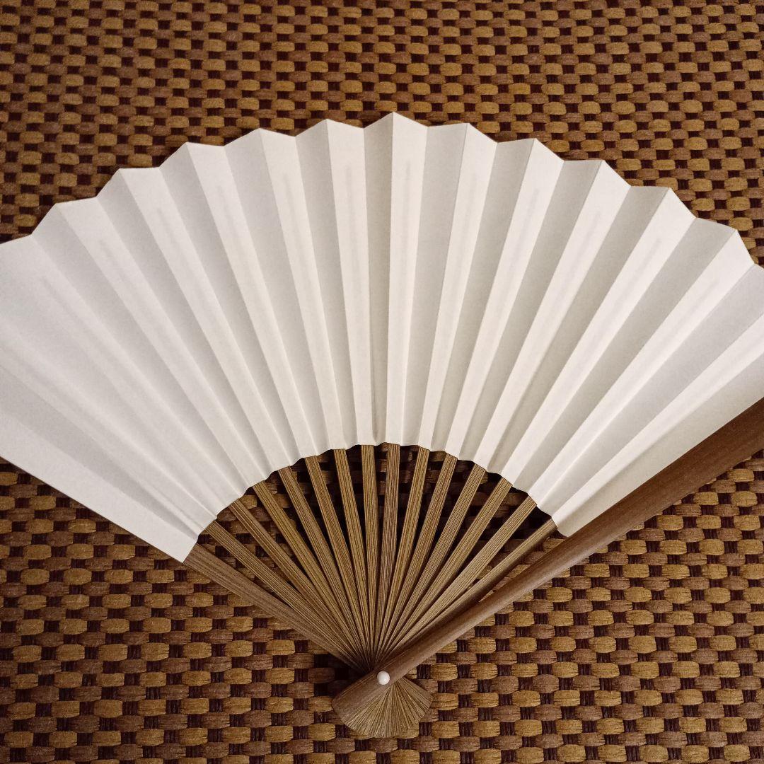 豊島将之九段 名人竜王位 扇子2点セット