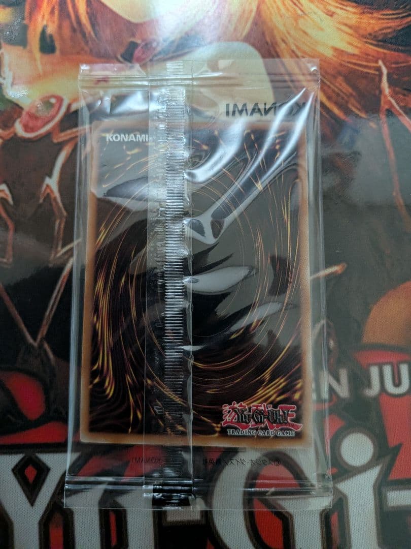 遊戯王OCG デュエルモンスターズ Dragon of Illumination,Sanctuary'sShield