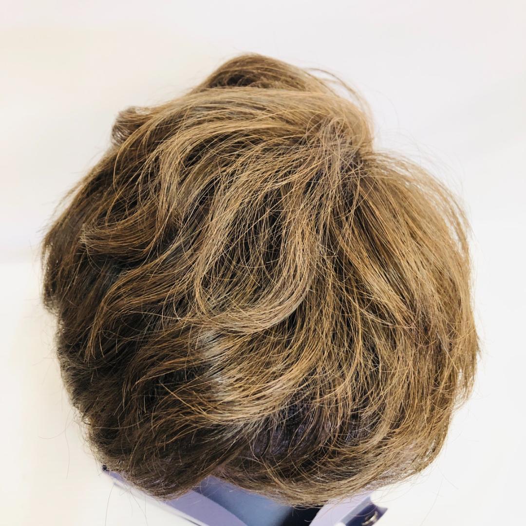 FONTAINE　フォンテーヌ　ウィッグ　ブラウン　ショート　「4621」