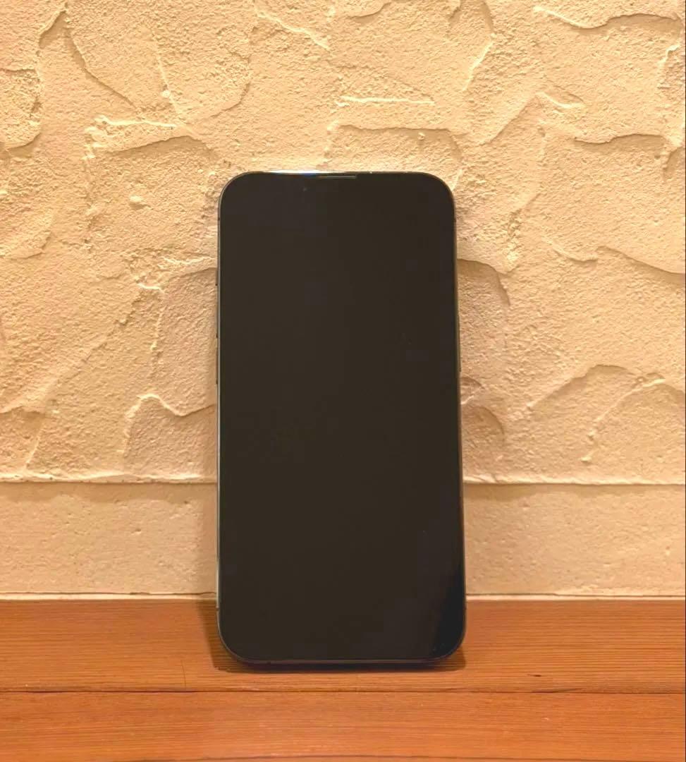 iPhone 13 Pro 512GB グラファイト / SIMフリー