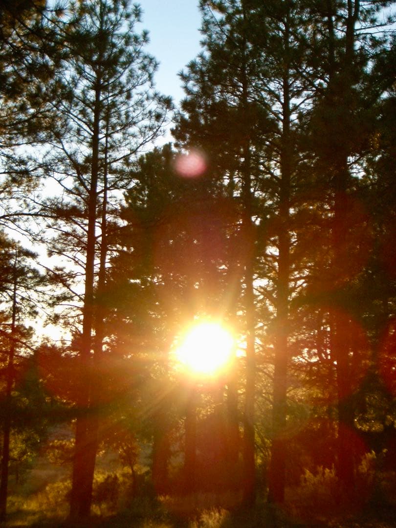 編集中です！様 リクエスト 4点 まとめ商品