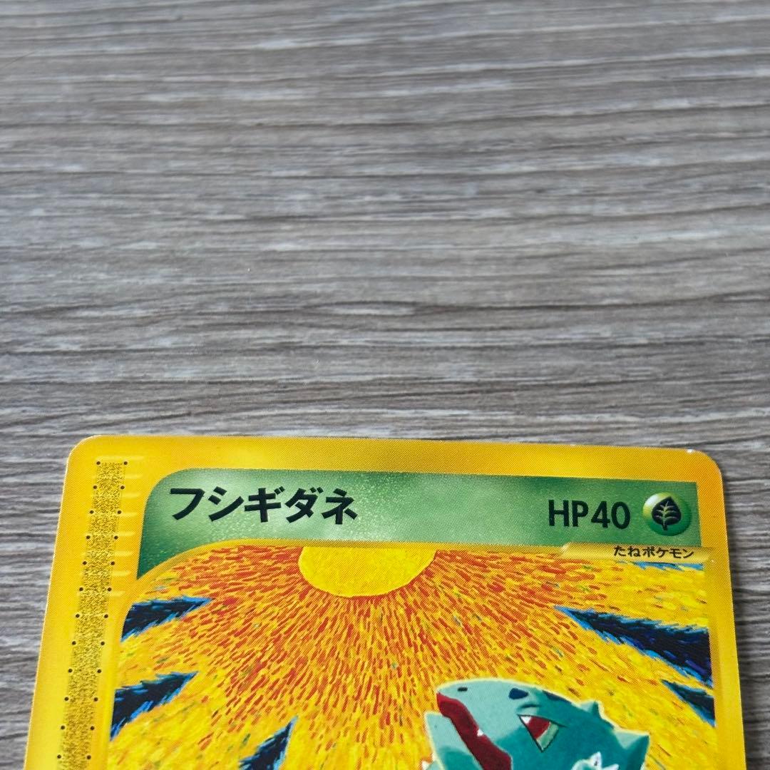 フシギダネ フシギソウ フシギバナ セット　eカード