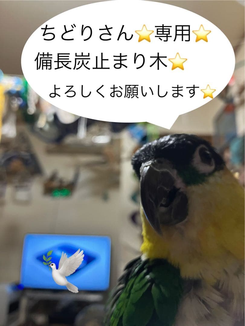 備長炭止まり木⭐️パーチ⭐️止まり木⭐️専用です♪( ^ω^ )✨