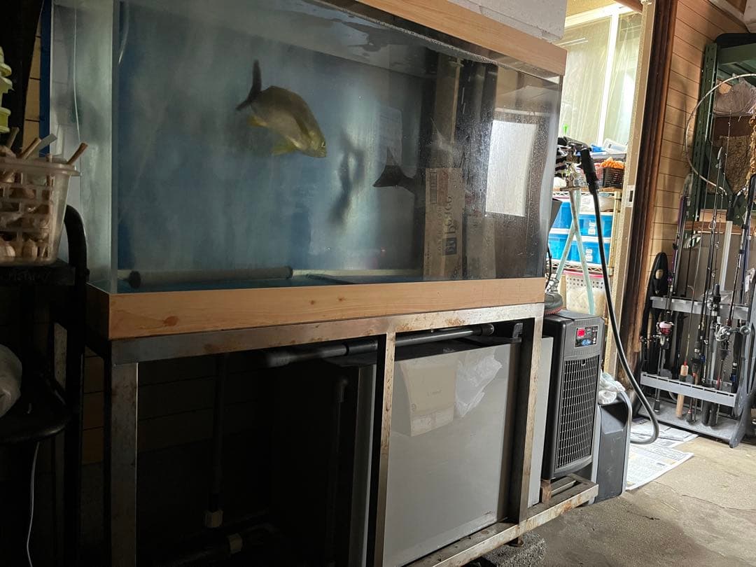 活魚水槽　アクリル水槽