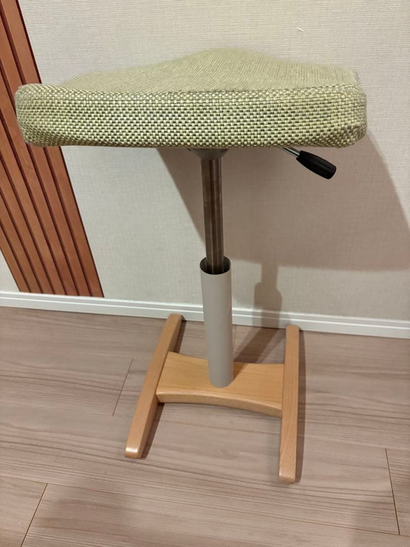 腰痛対策椅子　バランス シナジー　バランスラボ グリーン