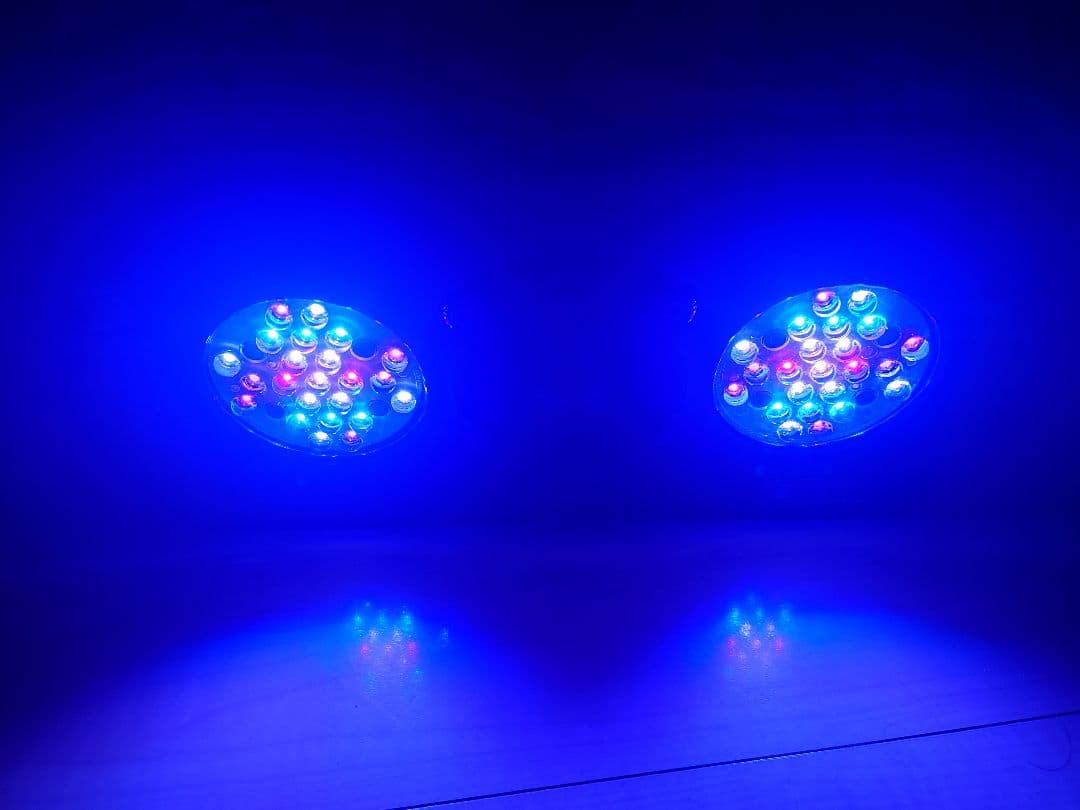 ECOTECH MARIN Radion G4 LEDライト　エコテックマリン