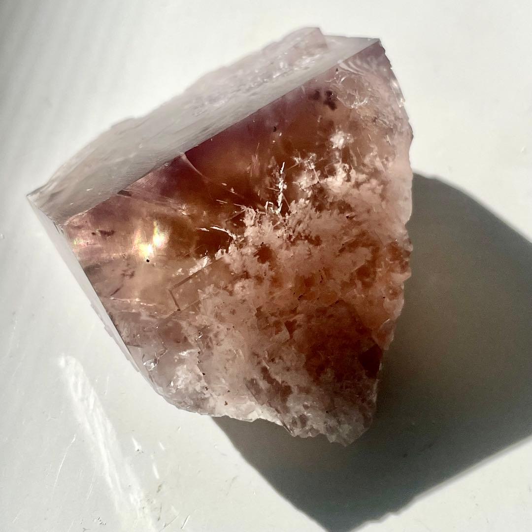 412 イギリス シェリーツインズ フローライト