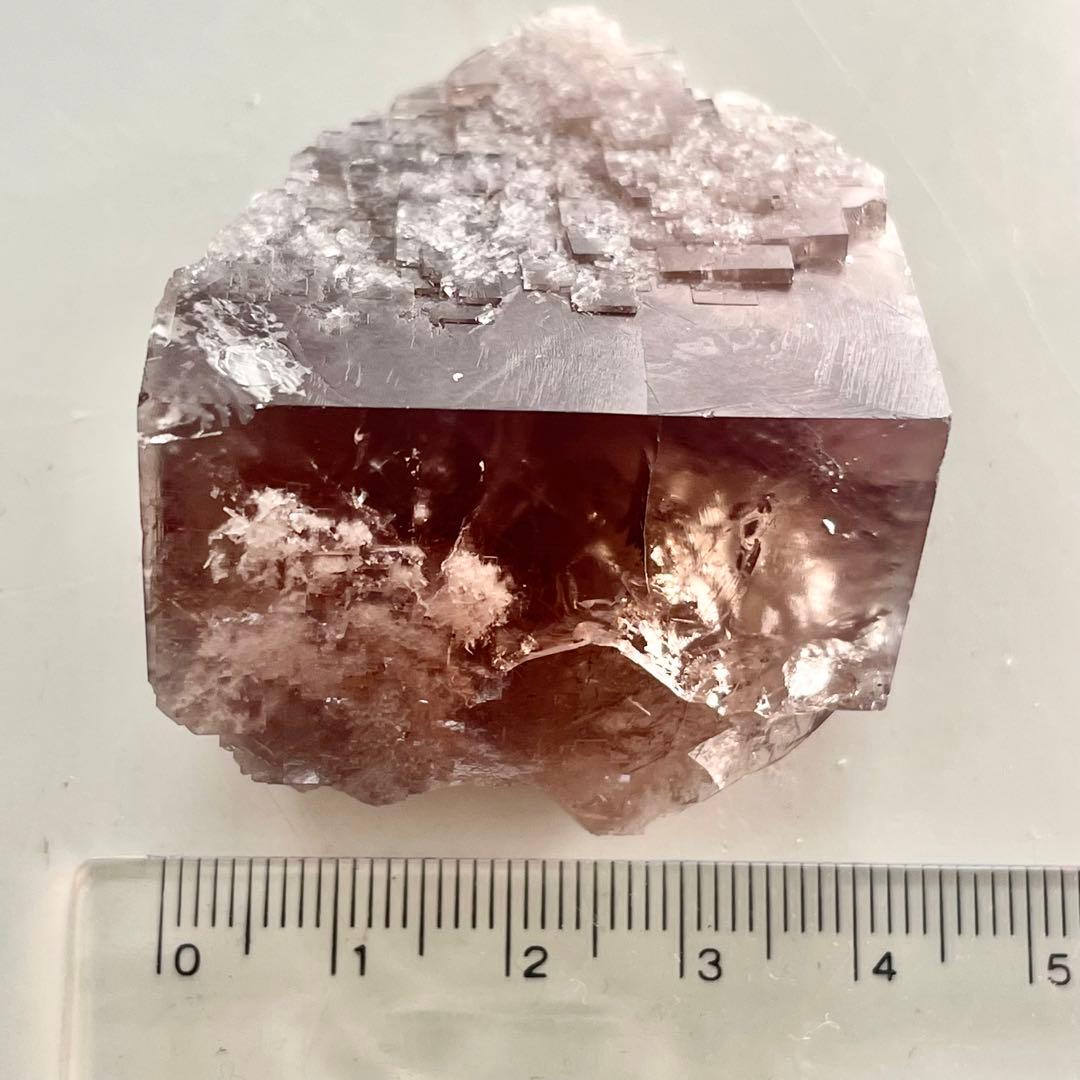 412 イギリス シェリーツインズ フローライト