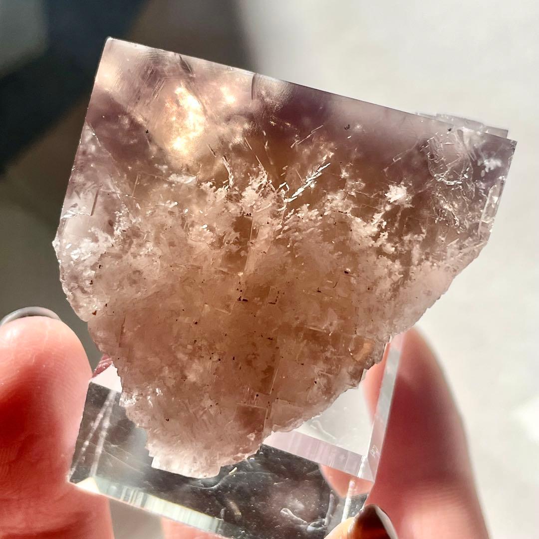 412 イギリス シェリーツインズ フローライト