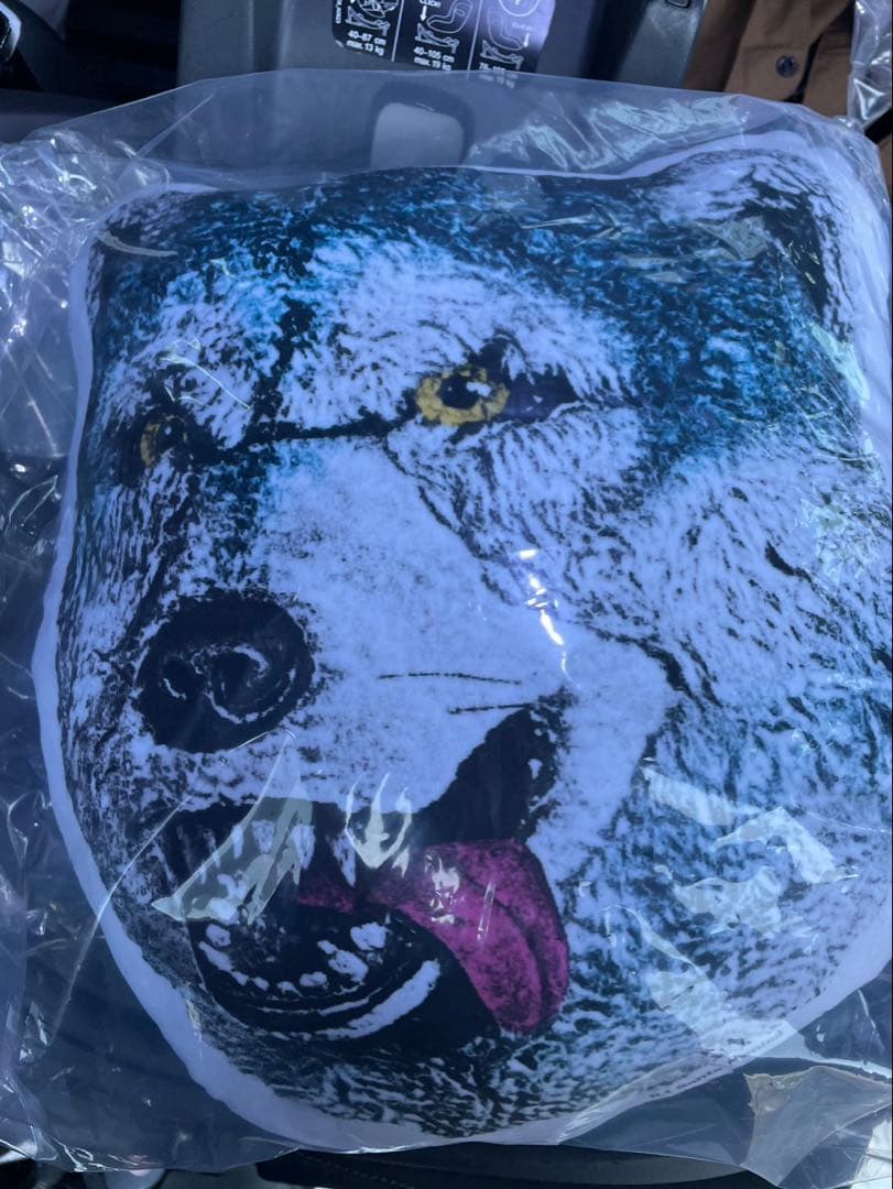 ⭐︎ tagapomu-_- ⭐︎クッションコンプ&マグネットセット