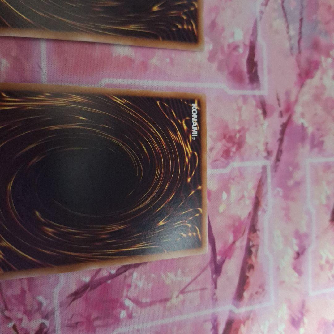 専用 ドラゴンテイル ファイメナ プリズマ