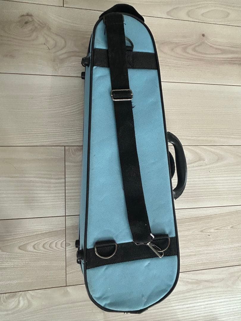 バイオリン・Carlo giordano・ケース付・1/16