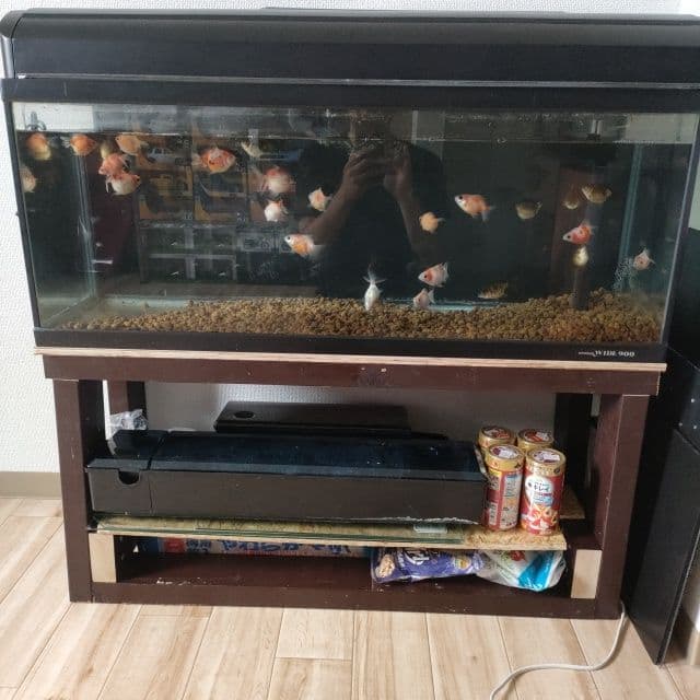 90㌢スリム水槽！台付き☆引き取り限定！