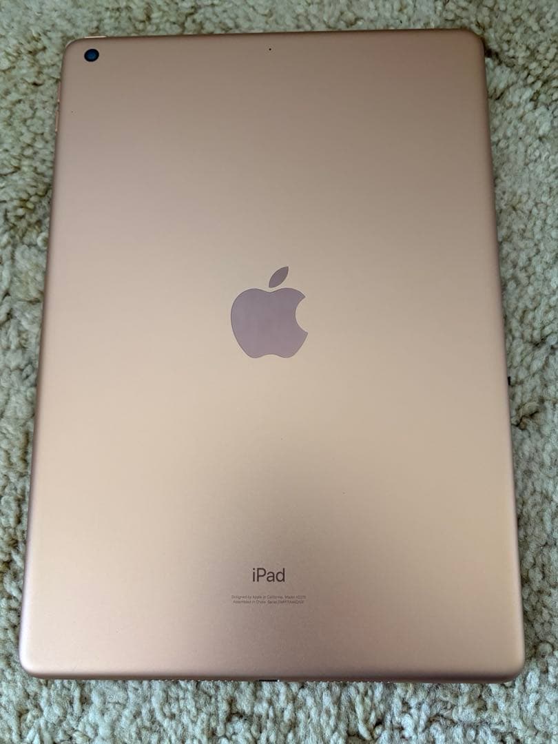 iPad 10.2インチ 第8世代 Wi-Fi ゴード 32GB