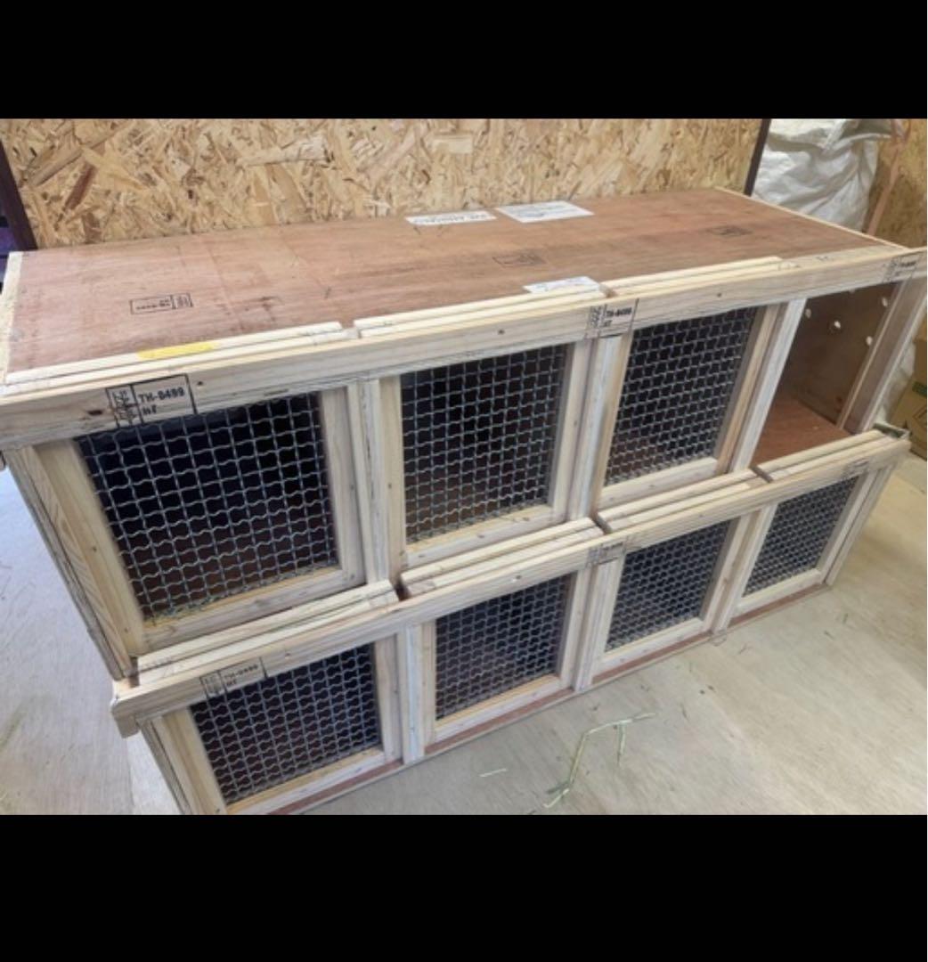 齧歯類用　海外動物輸送用クレート（うさぎの国際輸送適応キャリー）※着払い品
