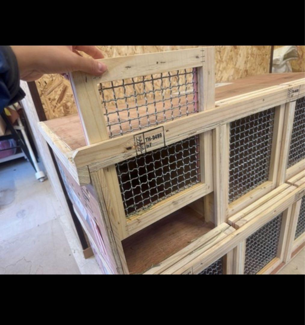 齧歯類用　海外動物輸送用クレート（うさぎの国際輸送適応キャリー）※着払い品