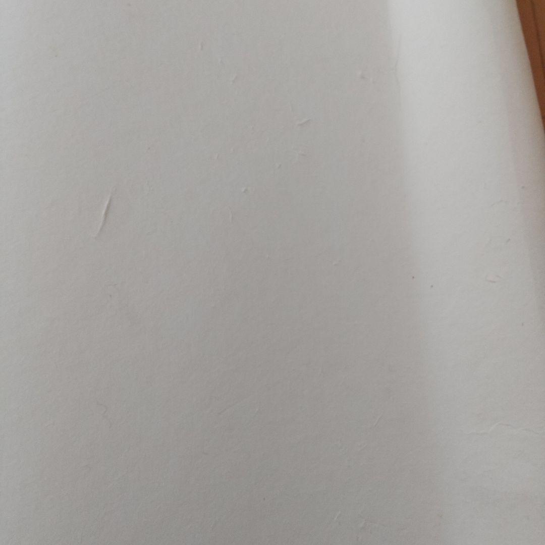 純手漉画仙紙　夾宣紙　８０枚 136×70