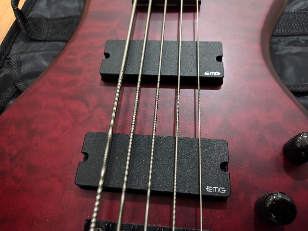 バン SCHECTER STILETTO CUSTOM-5 5弦ベース