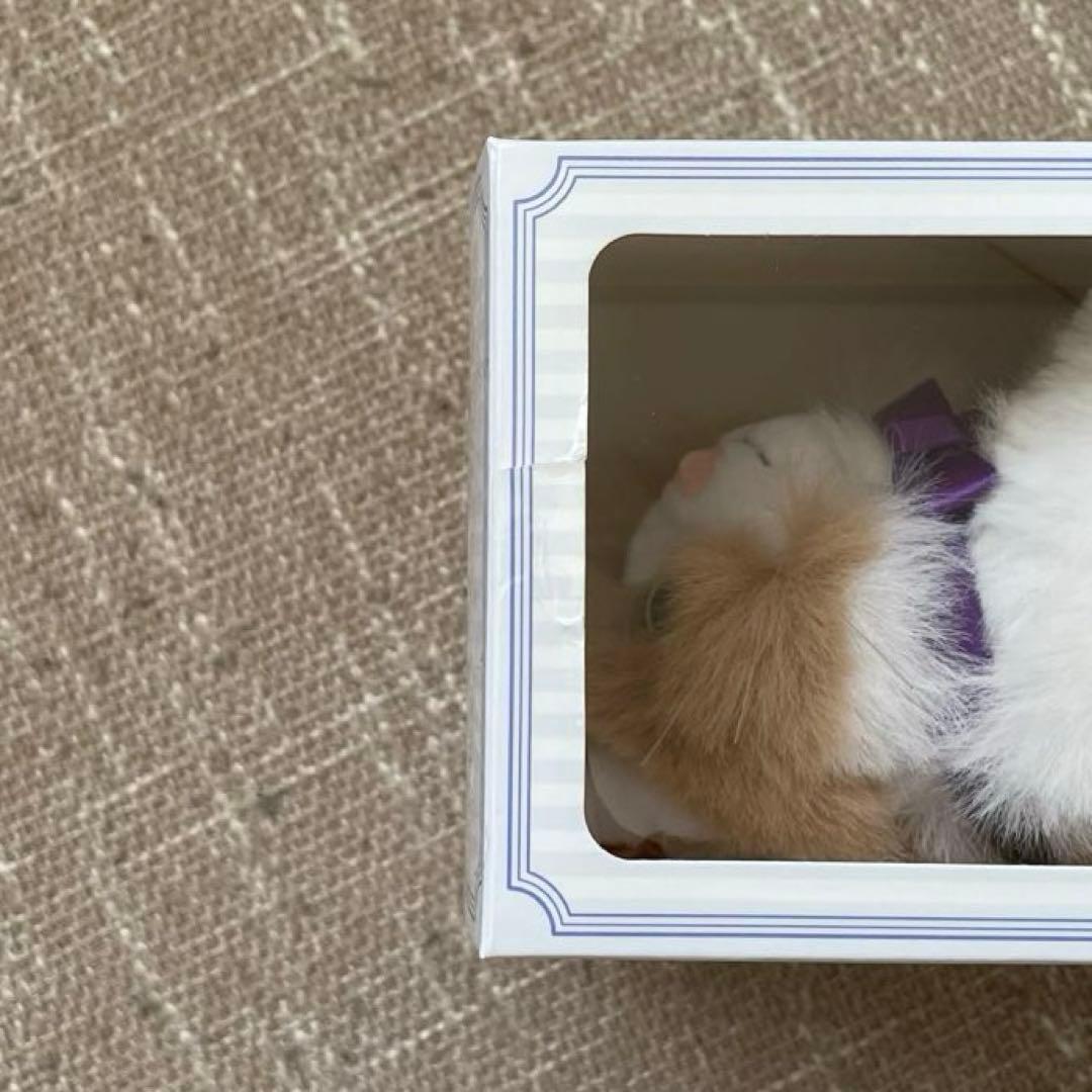 藤原樹 メンプロ マース セット