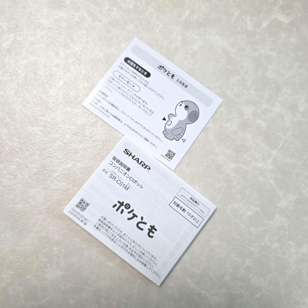 ポケとも 別売ホルダーセット コンパニオンロボット