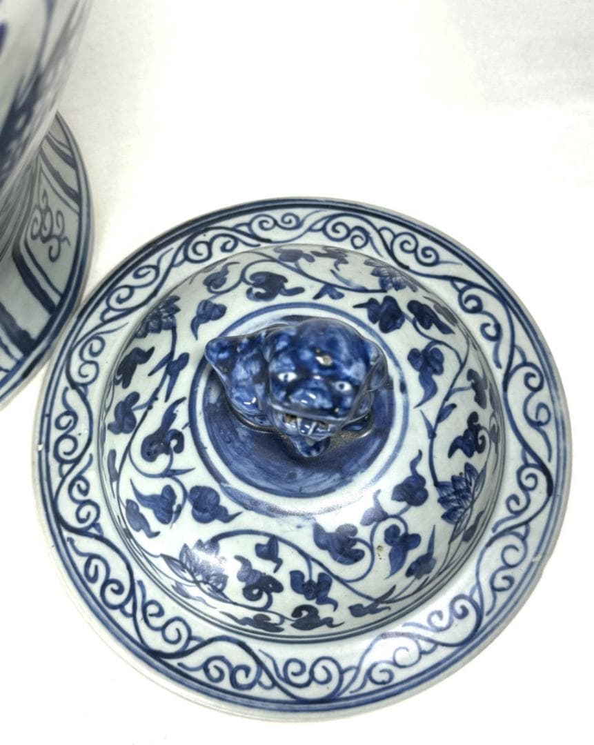 古染付 龍紋獅耳大壷 伝世品焼物 虫食い 青花 呉須 ウブ品 WWTT137