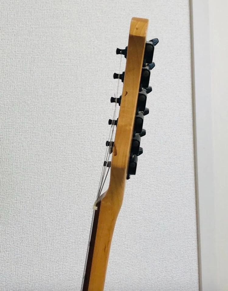 Bacchus BST-1R 3TS ストラトタイプ サンバースト ソフトケース