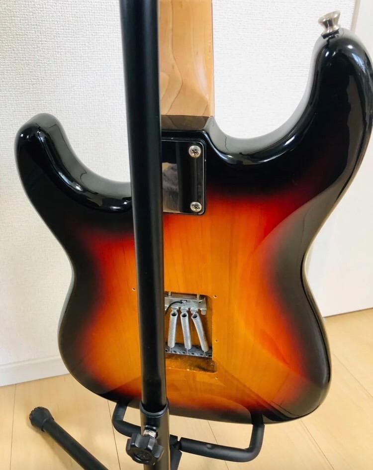 Bacchus BST-1R 3TS ストラトタイプ サンバースト ソフトケース