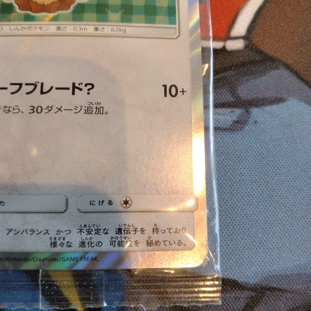 ポンチョを着たイーブイ リーフィア　未開封