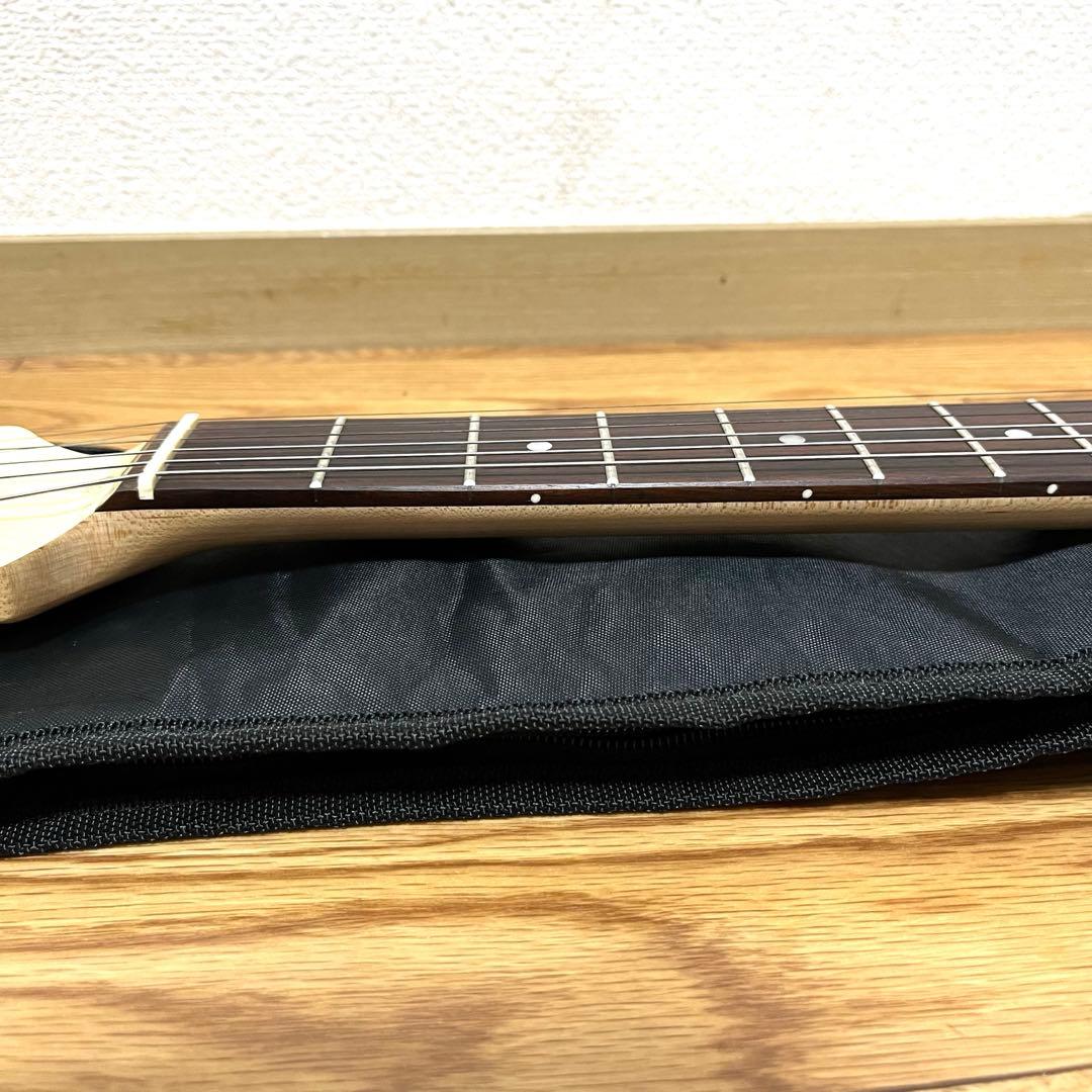 美品 Bacchus バッカス BMS-SH/R サイクロン