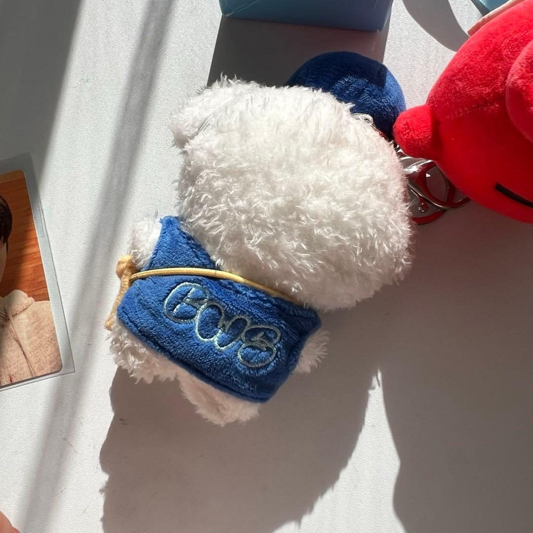 ビョンウソク ぬいぐるみキーリング セット　トレカ付　ピョンウソク