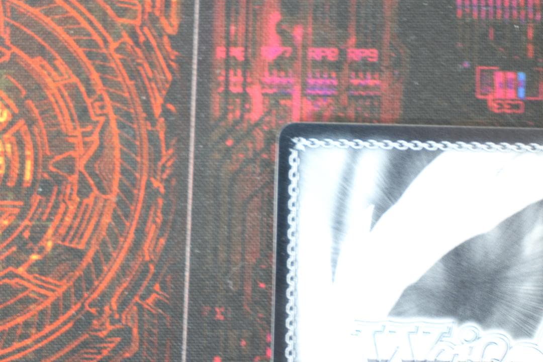 \"クレイジージャッカル\" ジャッカル SP サイン 44-MY0325-04C