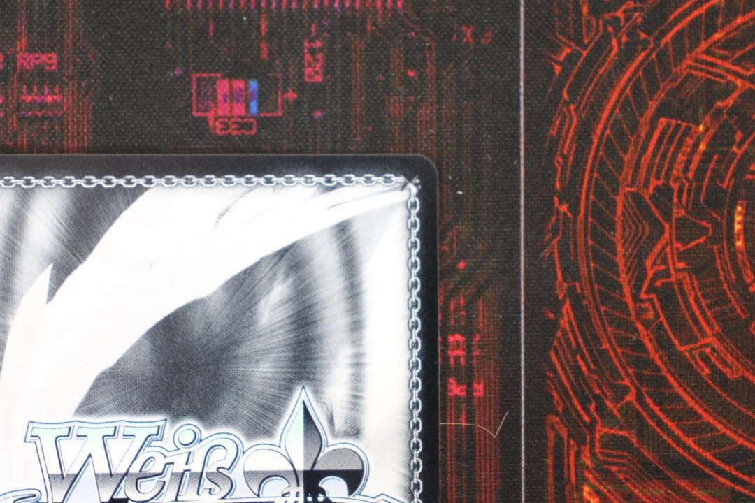 \"クレイジージャッカル\" ジャッカル SP サイン 44-MY0325-04C