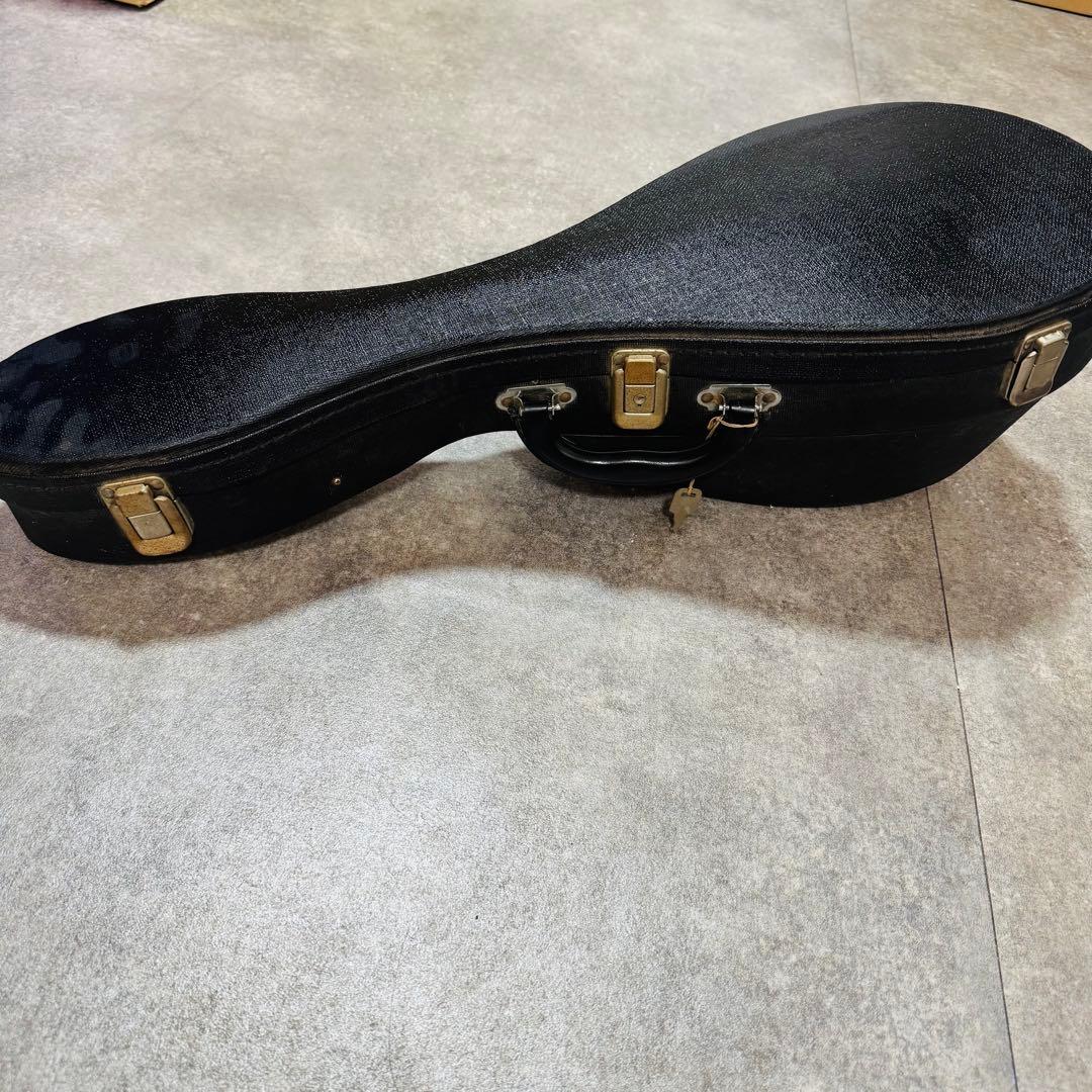 マンドリン SUZUKI M-30 弦楽器 ハードケース付き