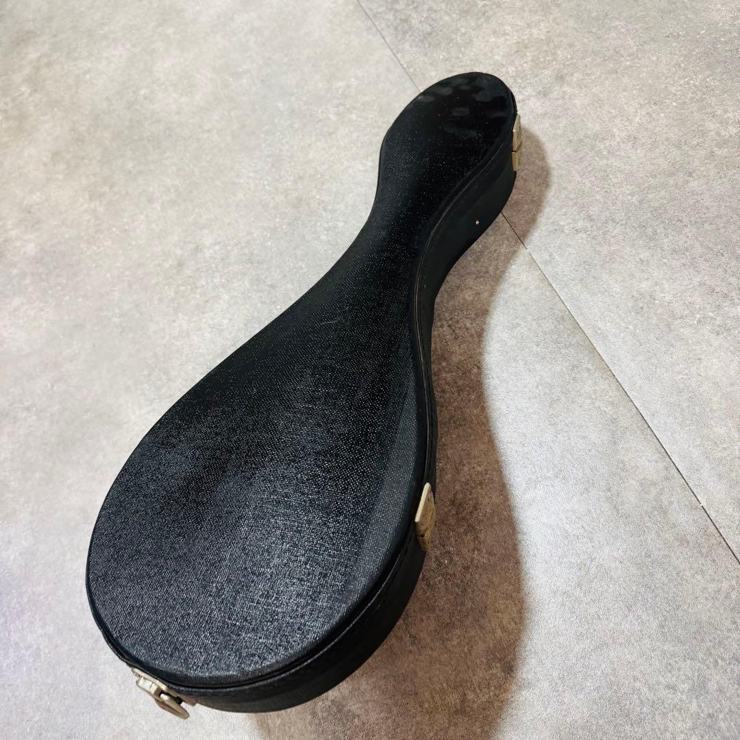 マンドリン SUZUKI M-30 弦楽器 ハードケース付き