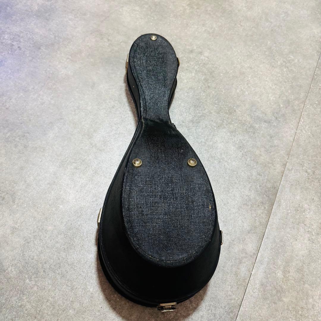 マンドリン SUZUKI M-30 弦楽器 ハードケース付き