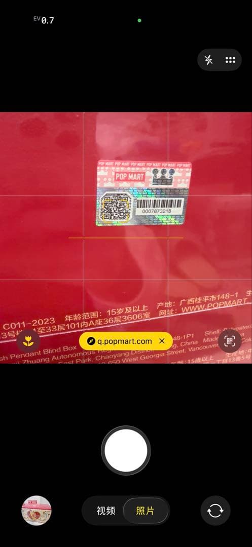 Twinkle Twinkle Crush On You ぬいぐるみ　チンクル