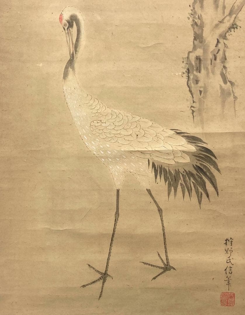 狩野氏信「鶴」花鳥画 掛軸 紙本