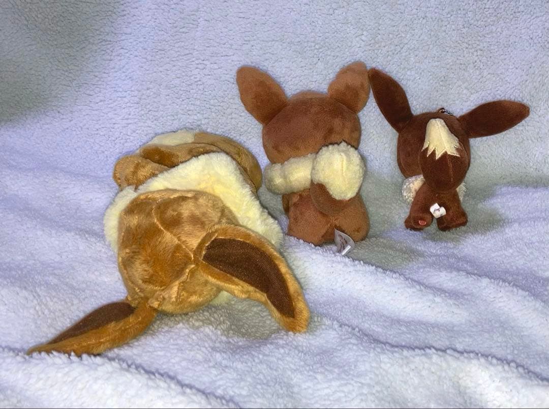 イーブイ ぬいぐるみ まとめ売り ポケモン