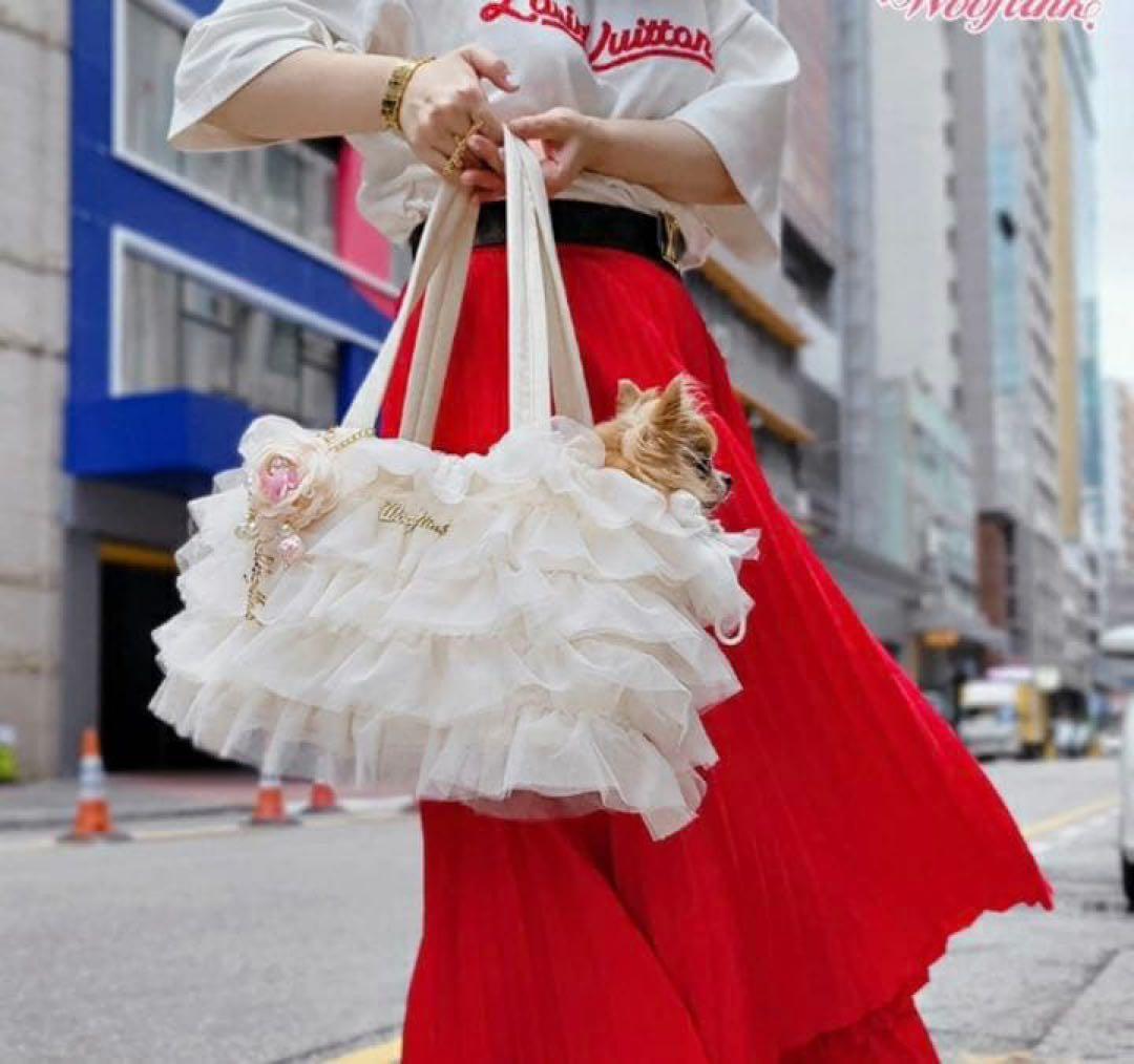 【新品未使用】Wooflink(ウーフリンク)DAY DREAM BAG ♡
