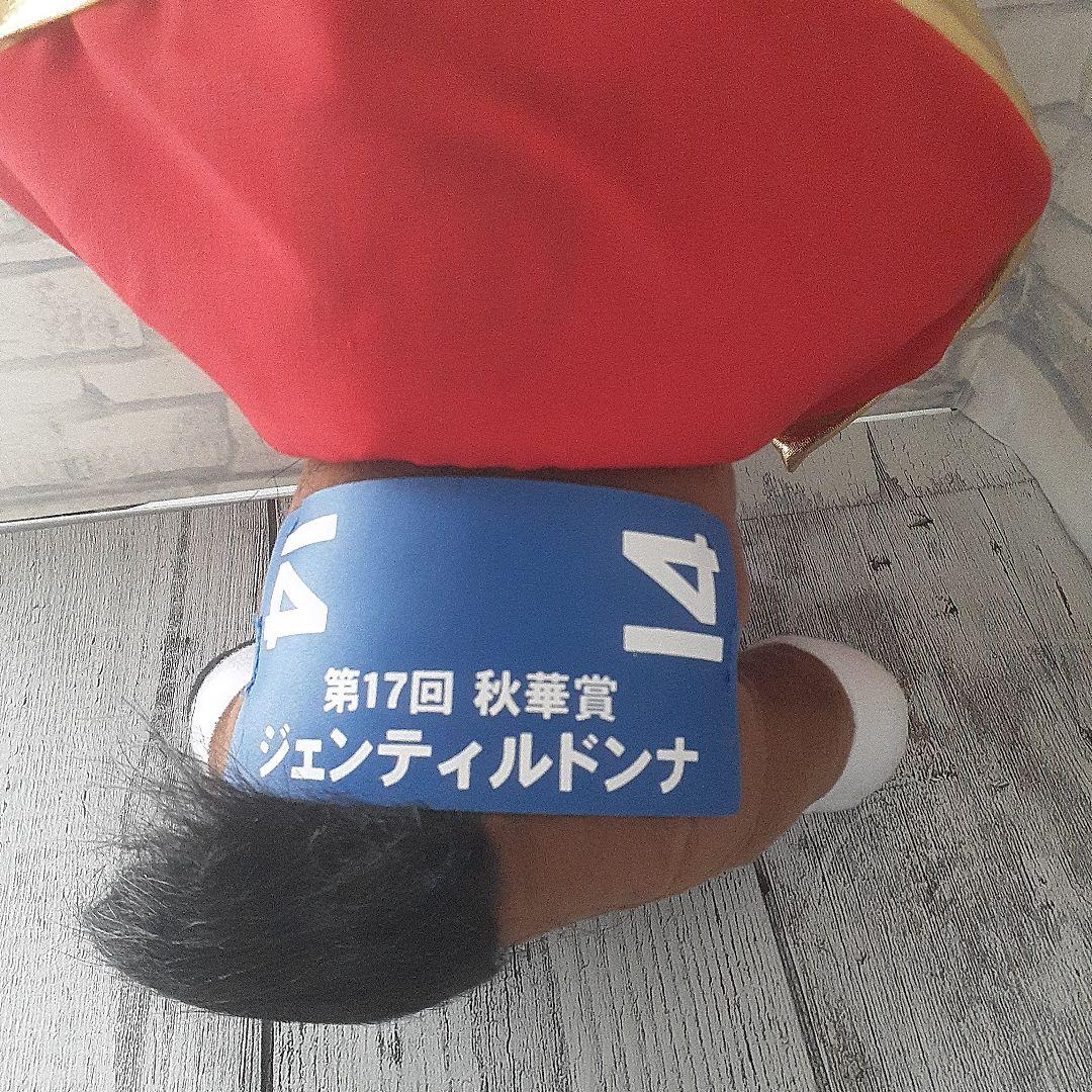 アイドルホース　ジェンティルドンナ