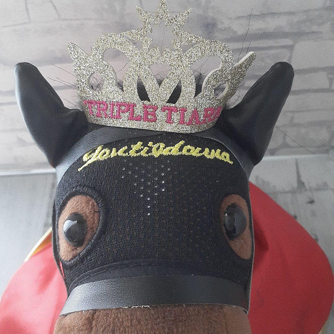 アイドルホース　ジェンティルドンナ