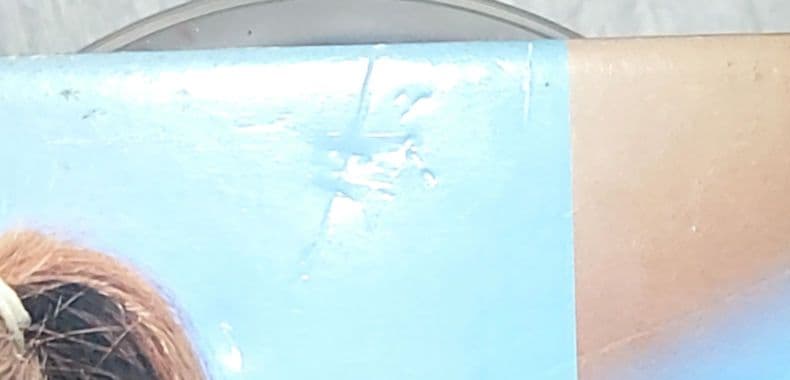 倉木麻衣　レア　シーブリーズ販売補足用POP