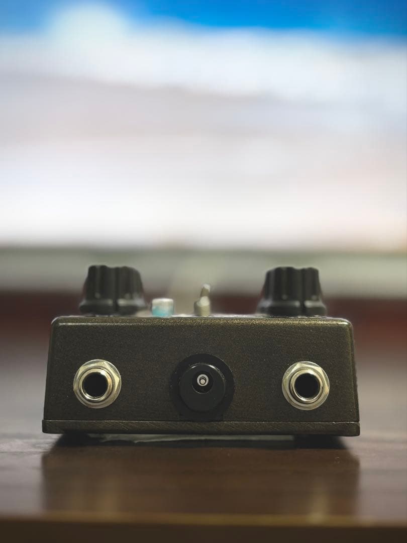 ギター Caroline guitar company meteore