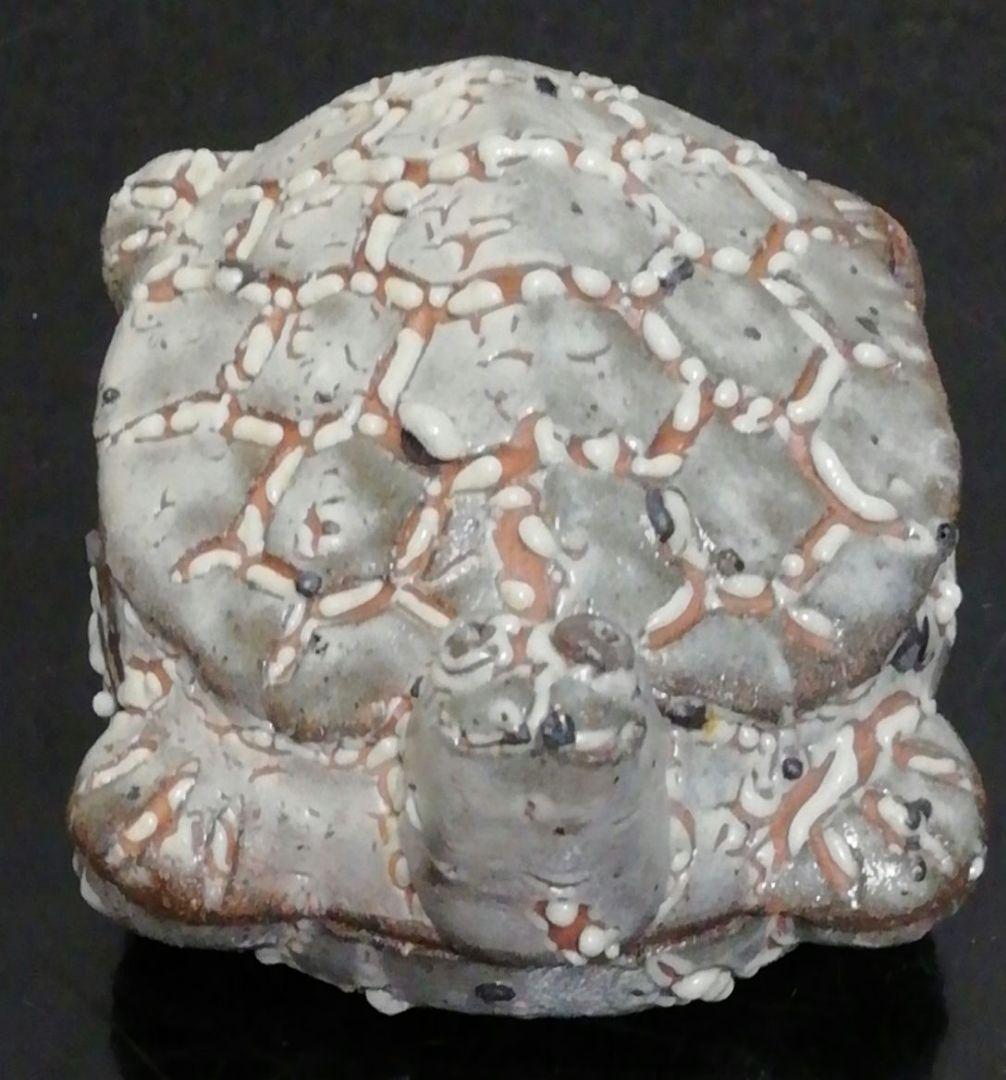 中川自然坊作　唐津焼　亀　香合　共箱　共布　略歴付　茶道具